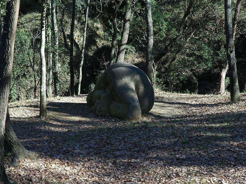 Descobriment del cos [4]