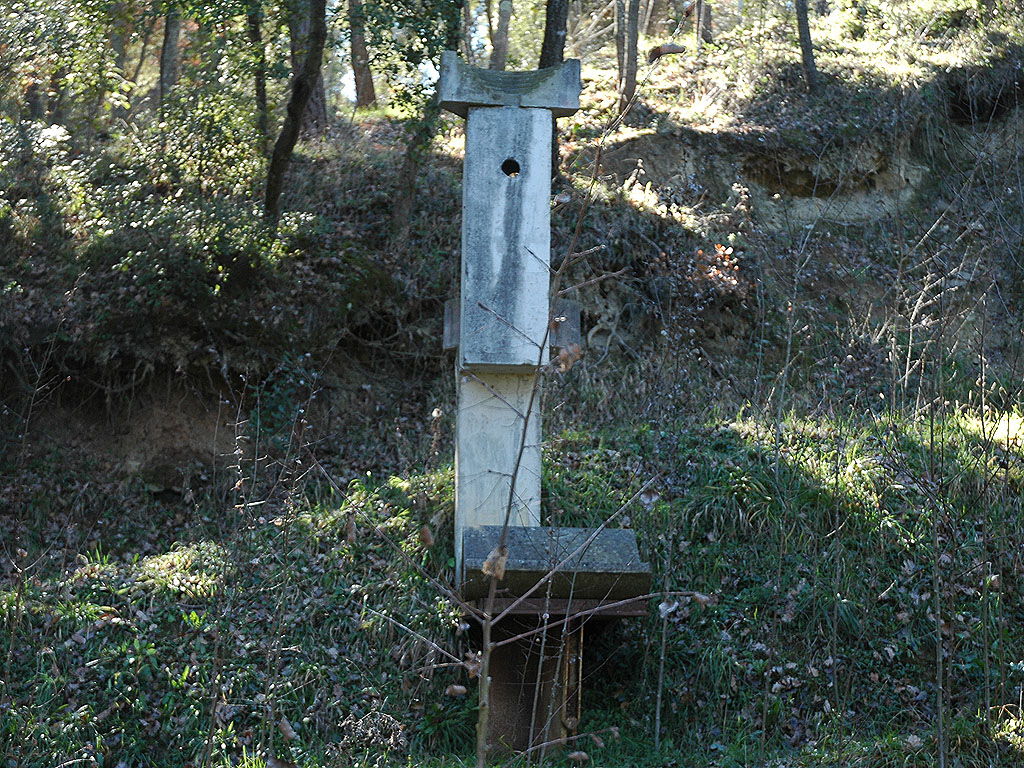 El meu compromís amb la terra [3]