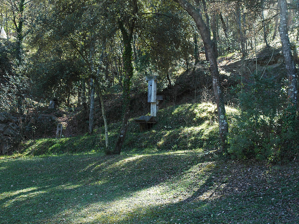 El meu compromís amb la terra [4]