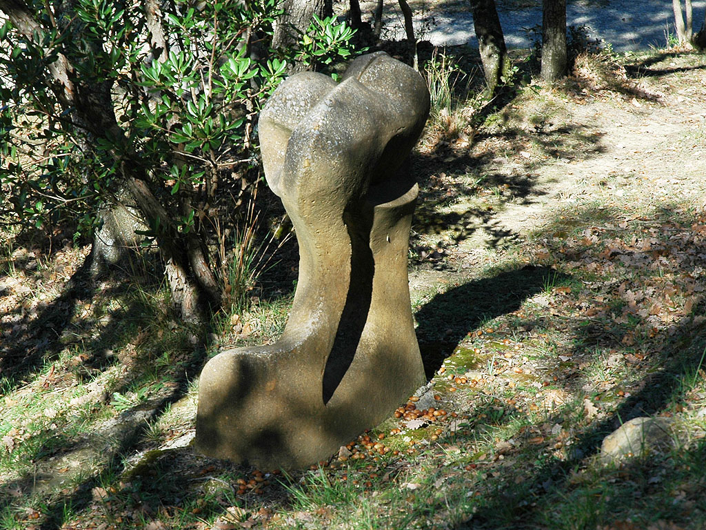 El somni estintolat 1 [3]