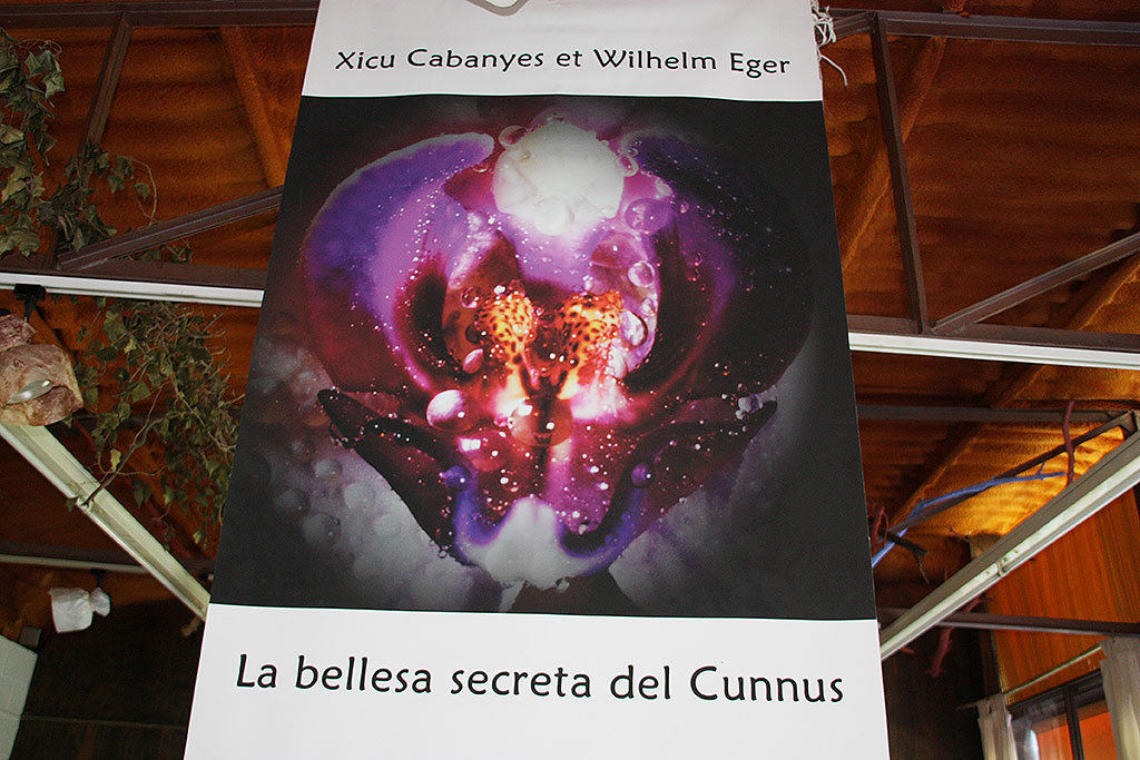 La bellesa secreta del cunnus [6]