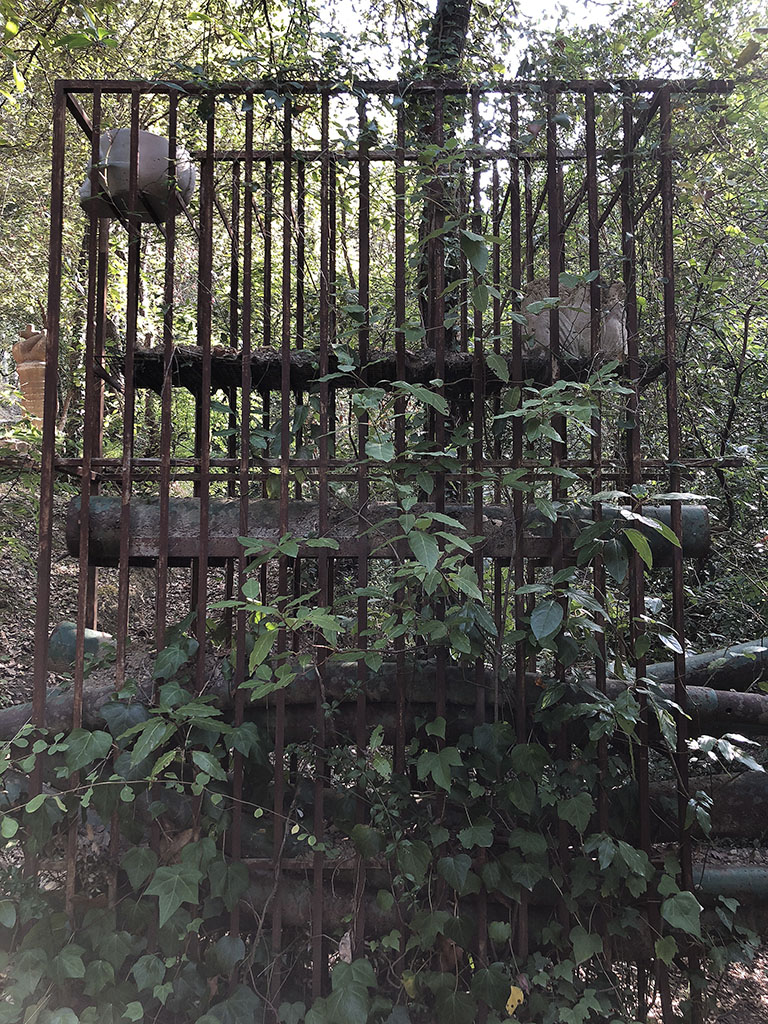 Banc d'herba [2]
