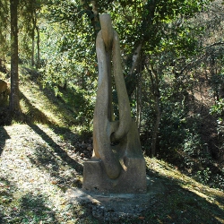 Canelobre de rosada