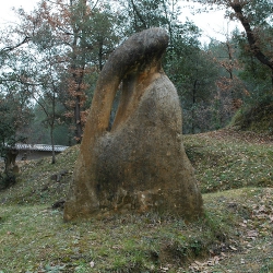Piràmide orgànica [3]