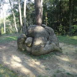 Naixement de la vida-arbre