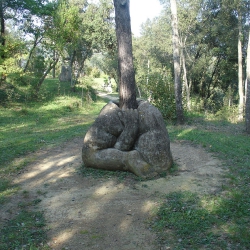 Naixement de la vida-arbre
