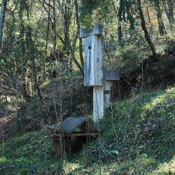 El meu compromís amb la terra [1]