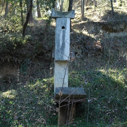 El meu compromís amb la terra [3]