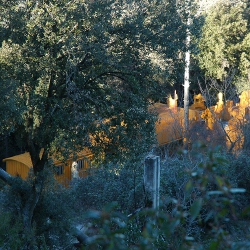 Caravanserrall [7]