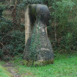 FORA BOSC