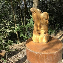 FORA BOSC